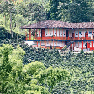 Coffee Farm Tours