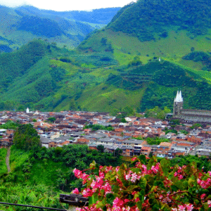 Jardin